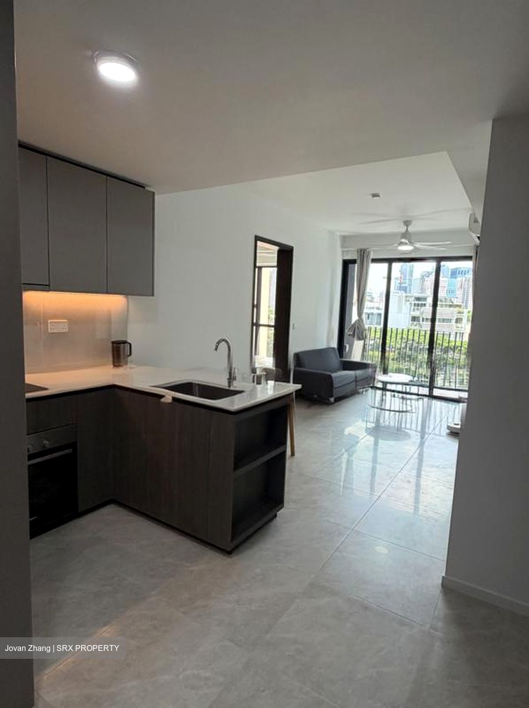 Piccadilly Grand (D8), Apartment #519982321